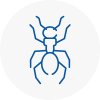 Ant Removals In Knowsley