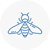 Bee Nest Removal Knowsley