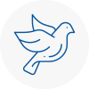 Bird Prevention Knowsley