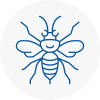 Knowsley Hornet Nest Removals