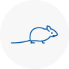 Mice Exterminators In Knowsley