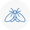 Moth Control Specialists In Knowsley