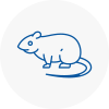 Rat Control Knowsley
