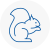 Knowsley Rodent Removals